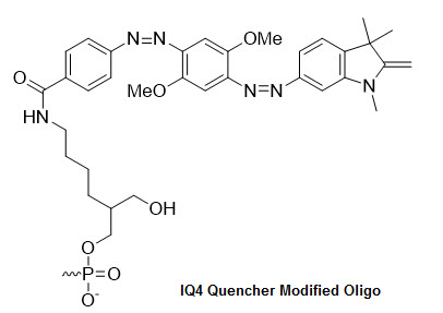 Bio-Synthesis Inc. Oligo Structure